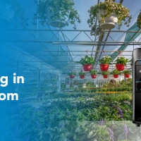 Bitki Etiketleme Tam &Ccedil;i&ccedil;ek A&ccedil;tı: Plant Center Op de Hipt, SATO ve P4IT ile Mal İşlemeyi Nasıl Modernize Etti