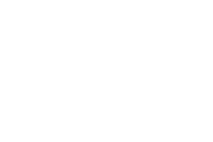 Expertise icon